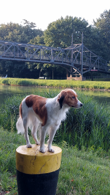 Letisha vom Torfmoorsee